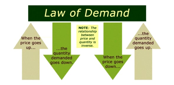 Explain The Law Of Demand And Elasticity Flashcards